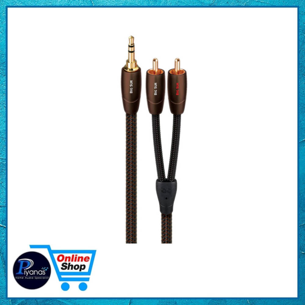 สายสัญญาณอนาล็อก AUDIOQUEST : BIG SUR (MINI TO RCA) (1.0M)